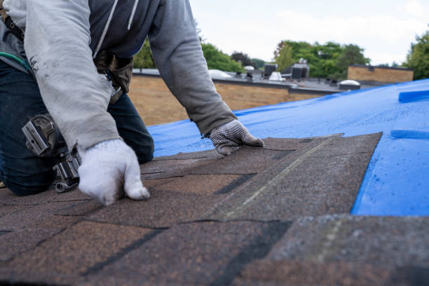 Roof Waterproofing Services in Wilton, CA